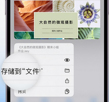 双滦apple维修中心分享iPhone文件应用中存储和找到下载文件