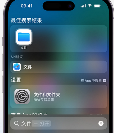 双滦apple维修中心分享iPhone文件应用中存储和找到下载文件