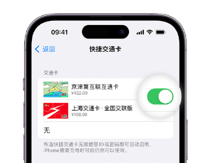 双滦apple维修点分享iPhone上更换Apple Pay快捷交通卡手绘卡面 