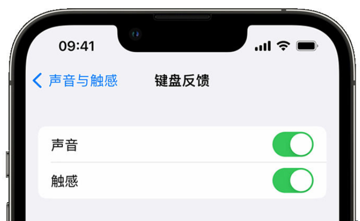 双滦苹果手机维修分享iPhone 14触感键盘使用方法 