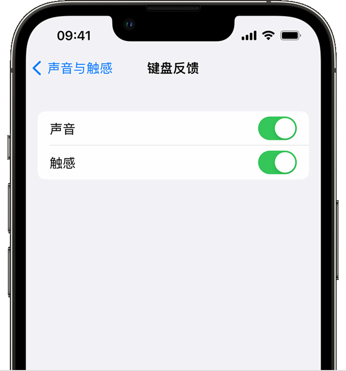 双滦苹果14维修店分享如何在 iPhone 14 机型中使用触感键盘 