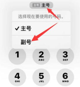 双滦苹果14维修店分享iPhone 14 Pro Max使用副卡打电话的方法 