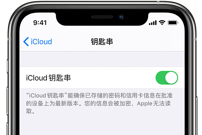 双滦苹果手机维修分享在 iPhone 上开启 iCloud 钥匙串之后会储存哪些信息 